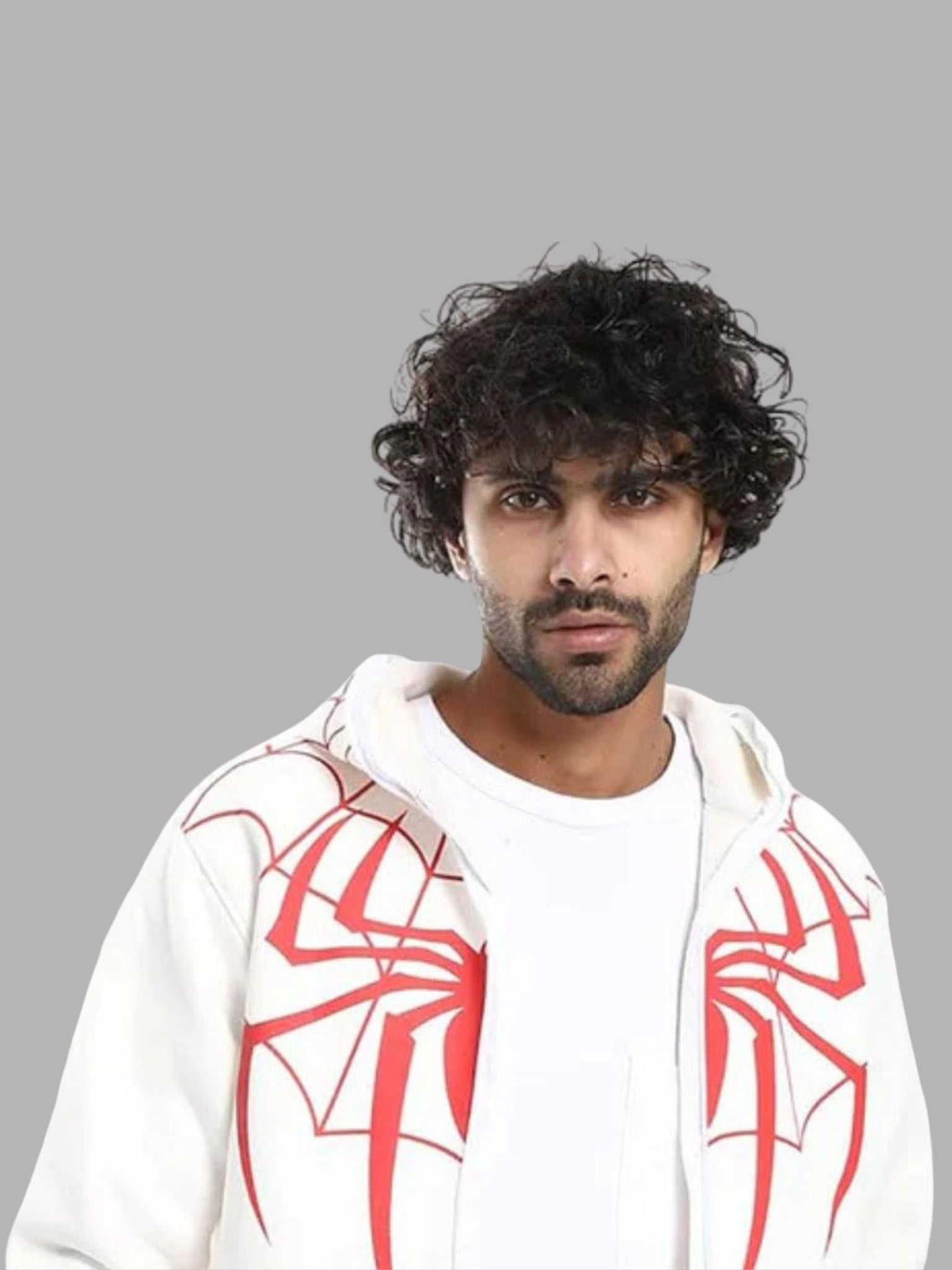 Reed Spider Hoodie – Kawaii Oversized Zip-Up Spiderman | Maison Feraia